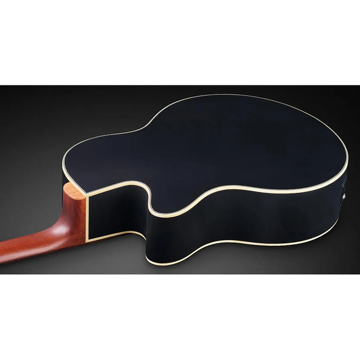 Warwick RockBass Alien Standard 4-String Acoustic Bass Solid Black Satin B-Stock