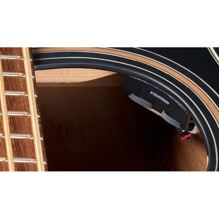 Warwick RockBass Alien Standard 4-String Acoustic Bass Solid Black Satin B-Stock